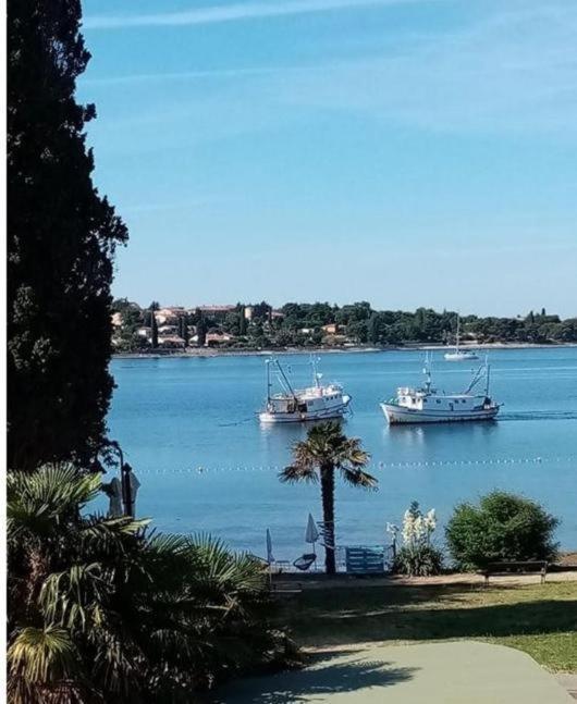 Apartment Villa Angelina, 70M From The Beach, Free Parking Novigrad Istria Εξωτερικό φωτογραφία
