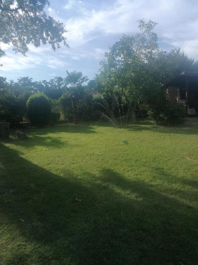 Apartment Villa Angelina, 70M From The Beach, Free Parking Novigrad Istria Εξωτερικό φωτογραφία
