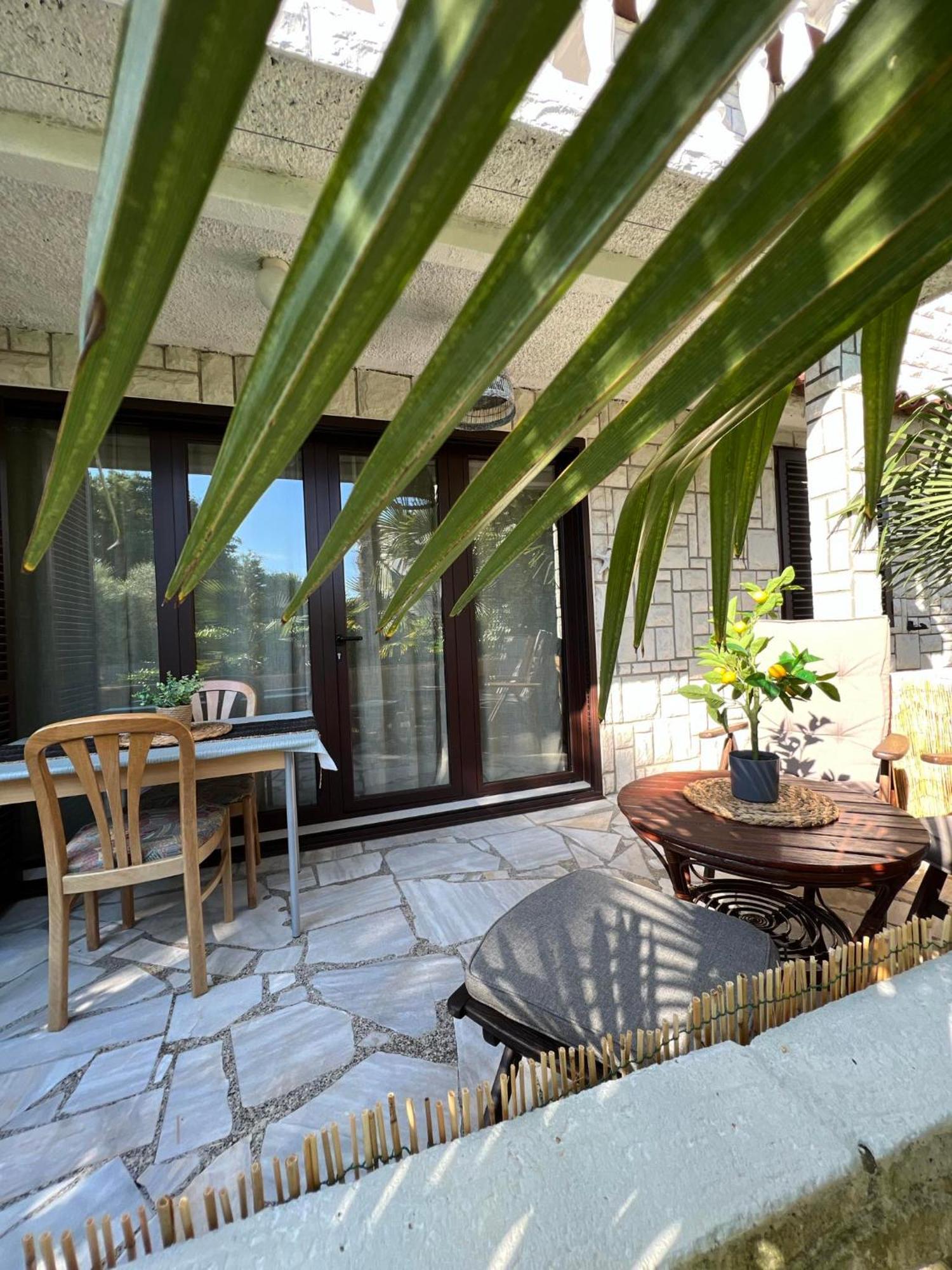 Apartment Villa Angelina, 70M From The Beach, Free Parking Novigrad Istria Εξωτερικό φωτογραφία
