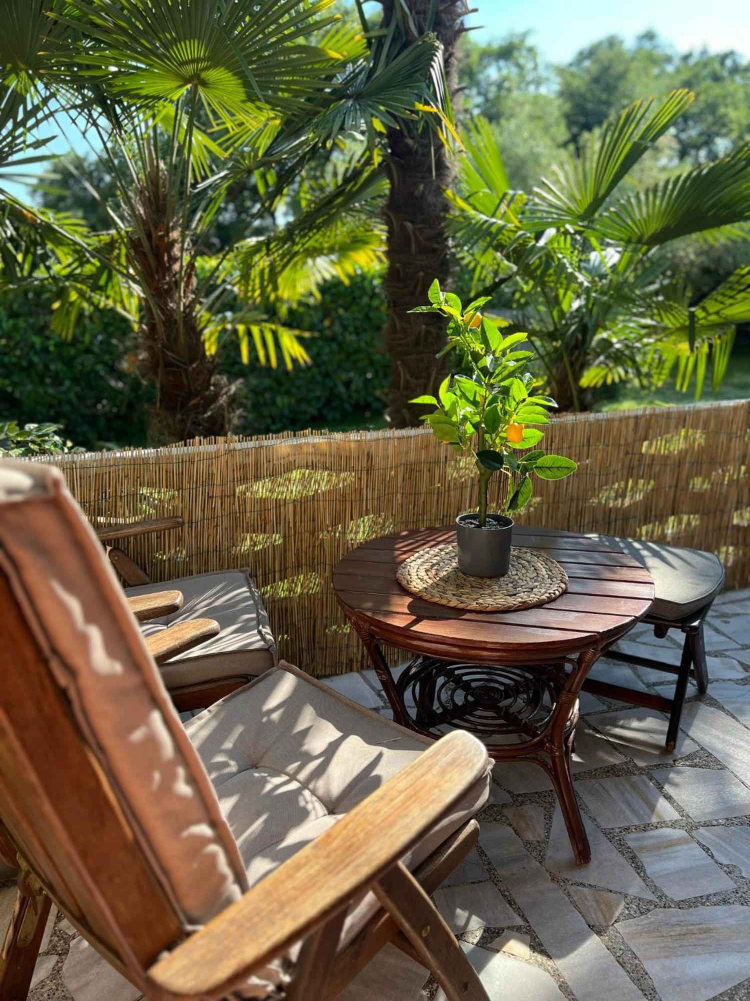 Apartment Villa Angelina, 70M From The Beach, Free Parking Novigrad Istria Εξωτερικό φωτογραφία