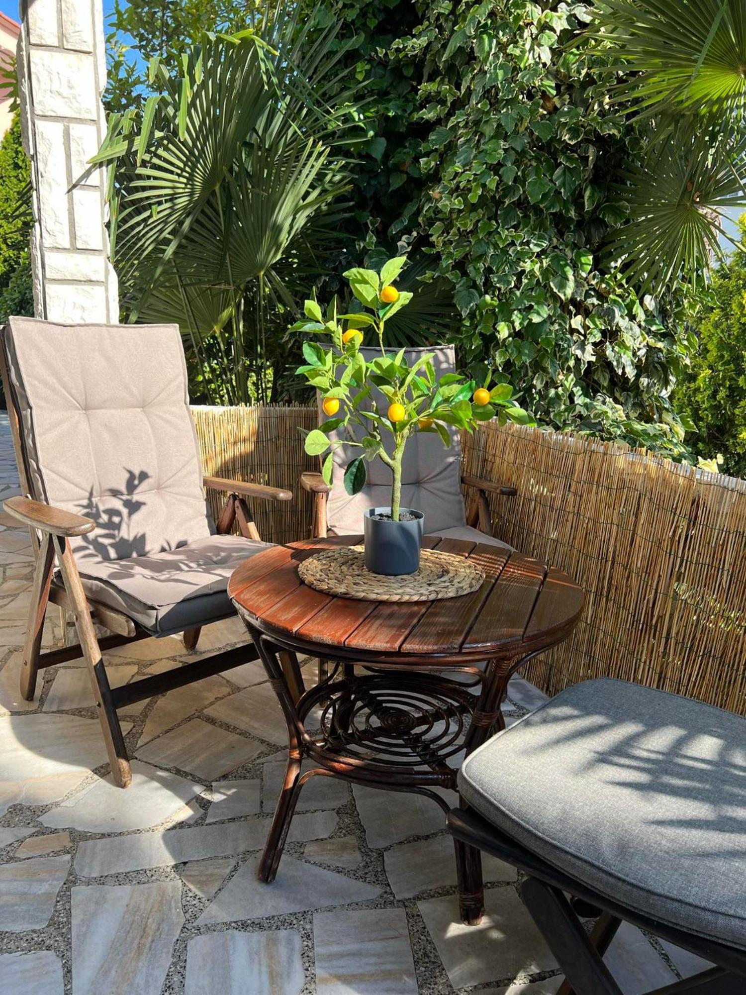 Apartment Villa Angelina, 70M From The Beach, Free Parking Novigrad Istria Εξωτερικό φωτογραφία